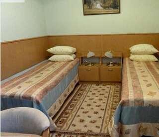 Отель Hotel Olenka Рахов Стандартный двухместный номер с 2 отдельными кроватями-3